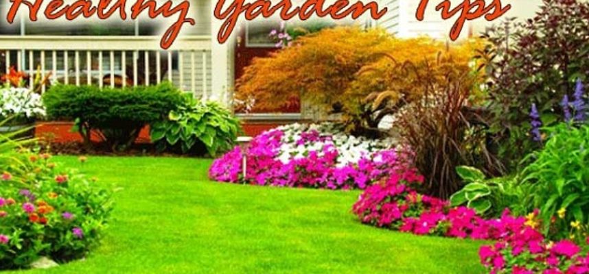 Tips for a healthy garden