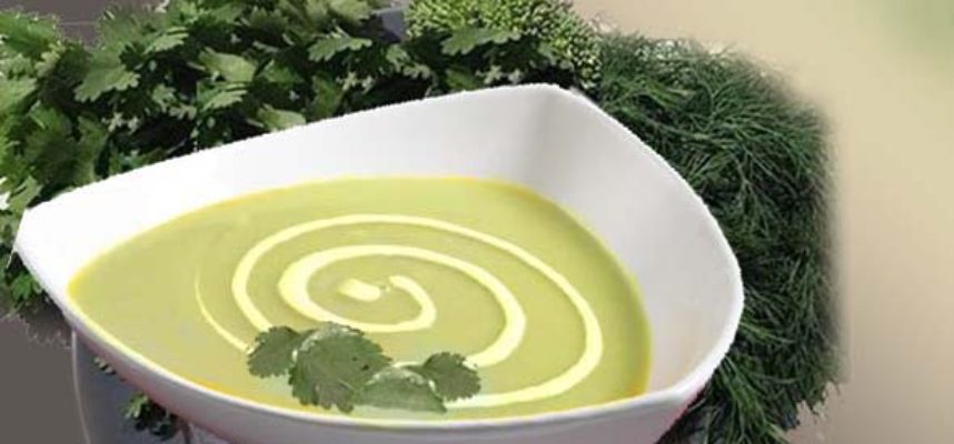 Vegetable Cream Soup
