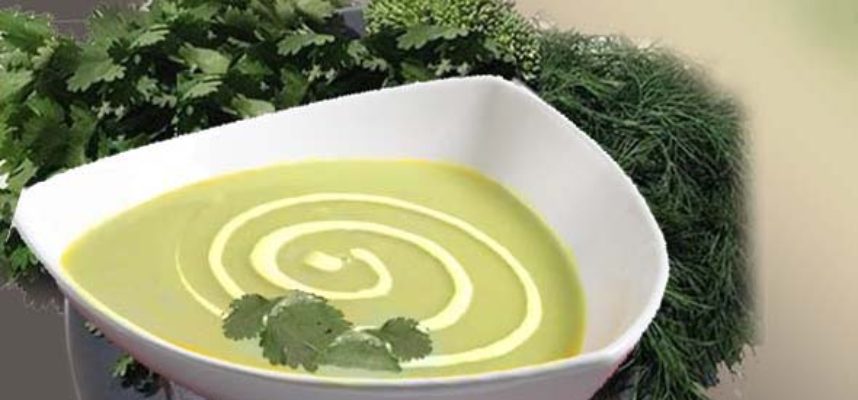 Vegetable Cream Soup