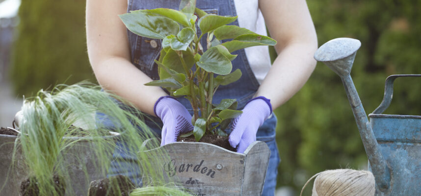 Top 10 Tools For Maintaining Your Garden